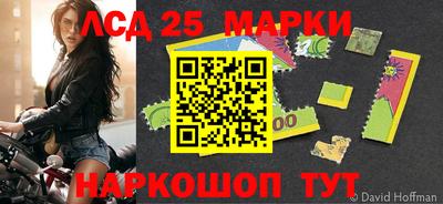 a pvp Краснознаменск