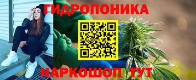 a pvp Краснознаменск