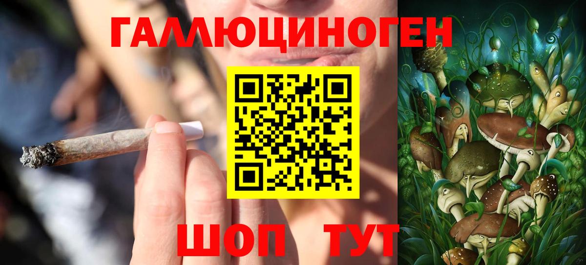 Псилоцибиновые грибы Cubensis  Вход с VPN  где купить   Камышин 